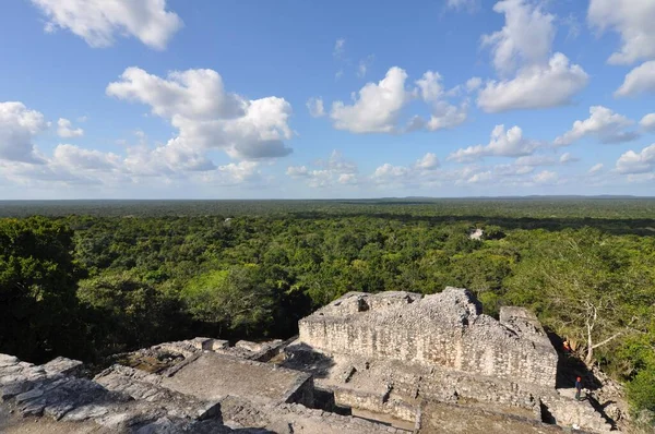 Calakmul, Meksika 'nın Campeche eyaletinde bir Maya arkeolojik alanı..