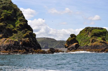 Chiloe Adası, Şili 'nin batı kıyısında, Pasifik Okyanusu' ndaki Chiloe Takımadası 'nın en büyük adasıdır..