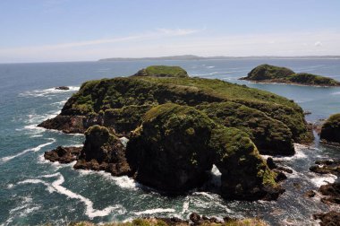 Chiloe Adası, Şili 'nin batı kıyısında, Pasifik Okyanusu' ndaki Chiloe Takımadası 'nın en büyük adasıdır..