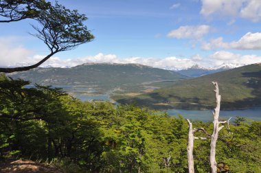 Tierra del Fuego Ulusal Parkı, Arjantin 'in Tierra del Fuego adasının bir parçasıdır..