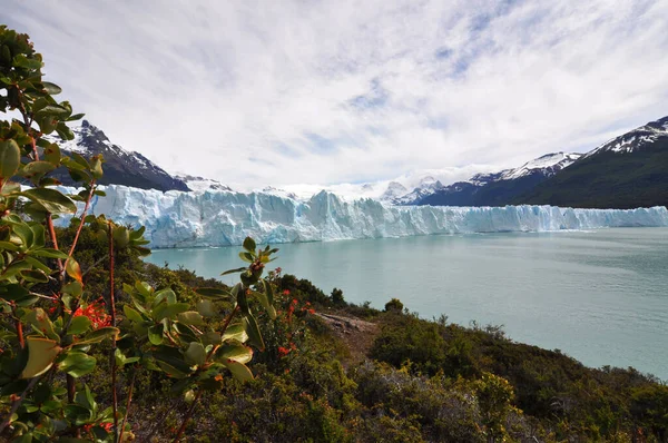 Los Glaciares National Park Located Southwest Santa Cruz Province Argentine — Fotografia de Stock