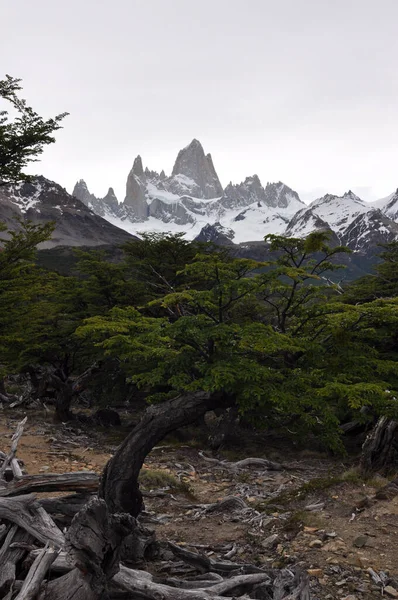 Fitz Roy Mountain Patagonia Border Argentina Chile Located Southern Patagonian — Stock Photo, Image