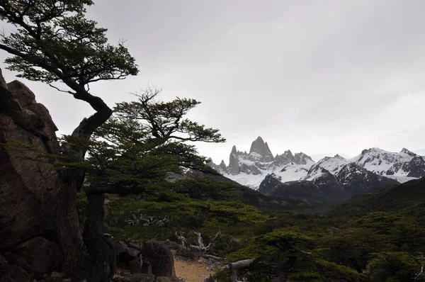 Fitz Roy Mountain Patagonia Border Argentina Chile Located Southern Patagonian — Foto Stock