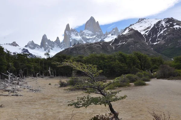 Fitz Roy Mountain Patagonia Border Argentina Chile Located Southern Patagonian — 스톡 사진