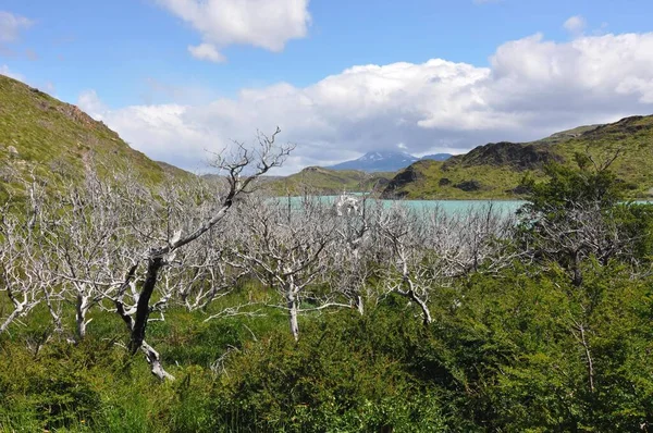 토레스델 Torres Del Paine National Park 남부의 포함하는 공원이다 — 스톡 사진