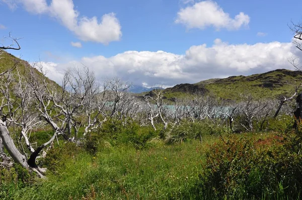 Torres Del Paine Εθνικό Πάρκο Είναι Ένα Εθνικό Πάρκο Που — Φωτογραφία Αρχείου