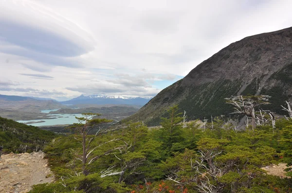 Torres Del Paine National Park National Park Encompassing Mountains Glaciers — Stock Photo, Image