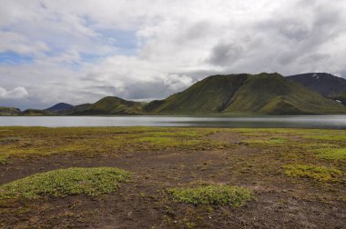 İzlanda volkanik ve jeolojik olarak aktif bir bölgedir. Yüzeyi ağırlıklı olarak kum ve lav tarlaları, dağlar ve volkanların yanı sıra buzullar, göller ve şelaleler ile kaplı platolardan oluşmaktadır..