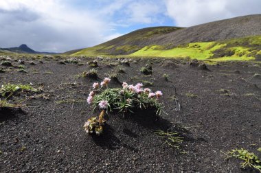 İzlanda volkanik ve jeolojik olarak aktif bir bölgedir. Yüzeyi ağırlıklı olarak kum ve lav tarlaları, dağlar ve volkanların yanı sıra buzullar, göller ve şelaleler ile kaplı platolardan oluşmaktadır..