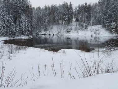 Karlı göl manzarası.