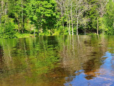 Nehir kenarında yaz günü