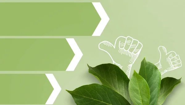 Abstract Background. Green thumbs up for eco-friendly banner and green leaves. save the earth and world environment day. copy space,digital banner,website - 3d rendering