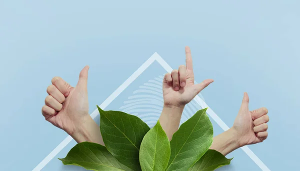 Abstract Background. Green thumbs up for Eco-friendly and eco earth day concept on blue background. copy space,digital, banner - 3d rendering