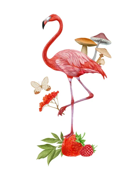 Handgezeichnete Illustration Des Flamingos — Stockfoto