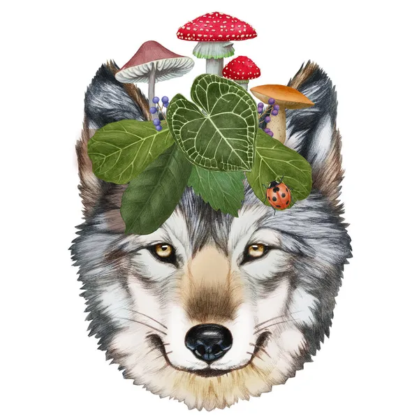 Hand Drawn Illustration Wolf Leaves Mushrooms — Stock Photo, Image
