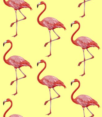 pink flamingos pattern background 