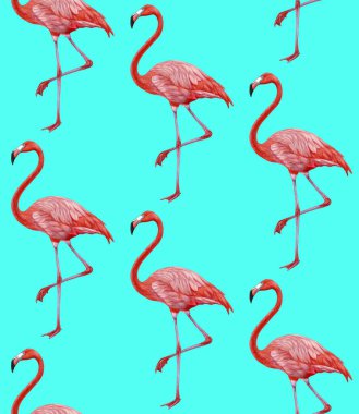 pink flamingos pattern background 