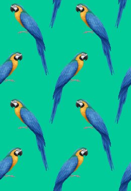 parrots pattern hand drawn birds background 