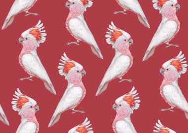 parrots pattern hand drawn birds background 