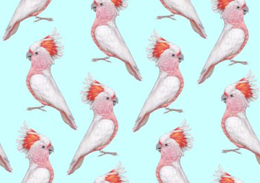 parrots pattern hand drawn birds background 