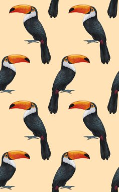 birds pattern hand drawn colorful background