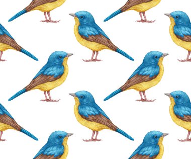 birds pattern hand drawn colorful background