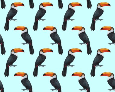 birds pattern hand drawn colorful background