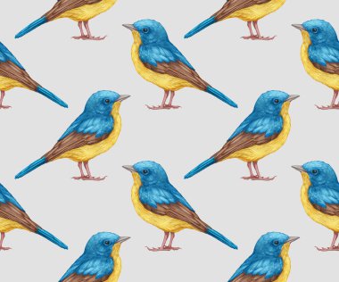 birds pattern hand drawn colorful background