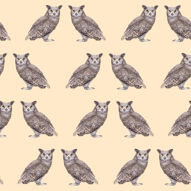 owls pattern hand drawn birds background 