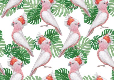 parrots pattern hand drawn birds background 