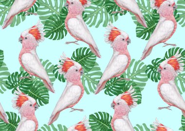 parrots pattern hand drawn birds background 