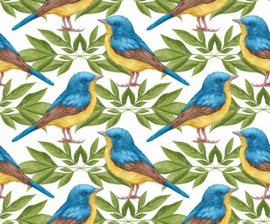 Elle çizilmiş kuşlar desenle 