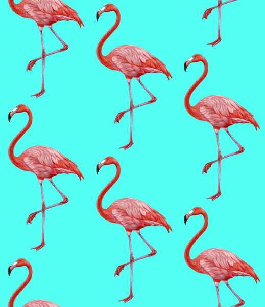 Pink Flamingos Pattern Background — Foto Stock