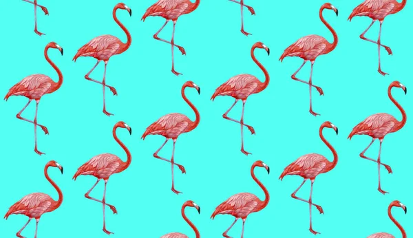 Pink Flamingos Pattern Background — стоковое фото