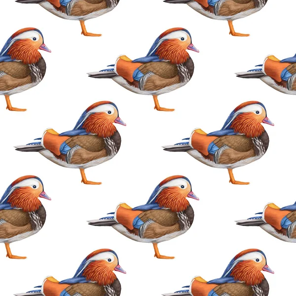 Birds Pattern Hand Drawn Colorful Background — Zdjęcie stockowe