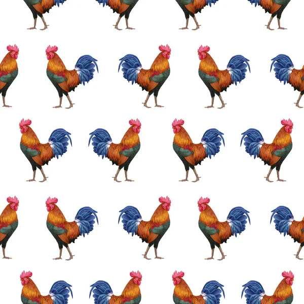 Roosters Pattern Hand Drawn Background — Stock fotografie