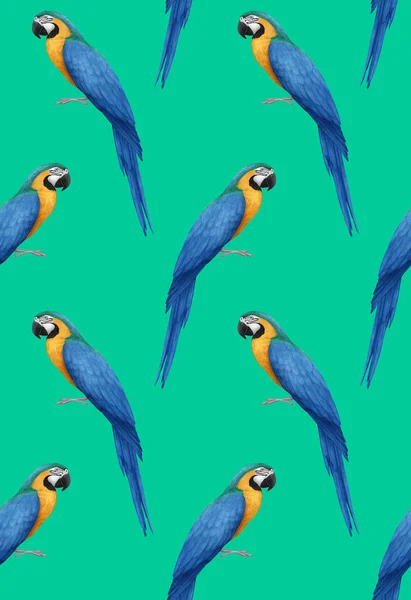 Parrots Pattern Hand Drawn Birds Background — Zdjęcie stockowe