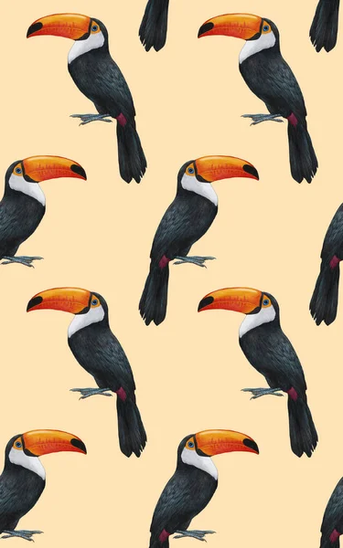 Birds Pattern Hand Drawn Colorful Background — Zdjęcie stockowe