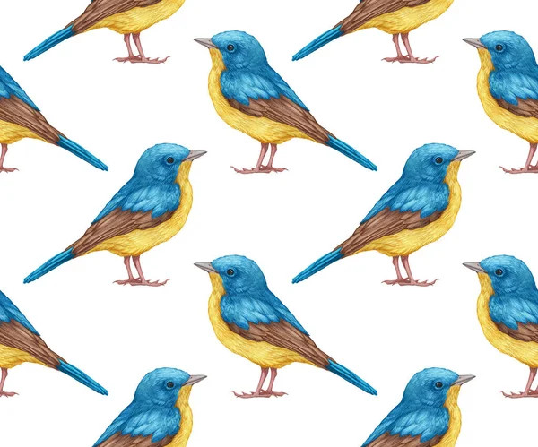 Birds Pattern Hand Drawn Colorful Background — Zdjęcie stockowe