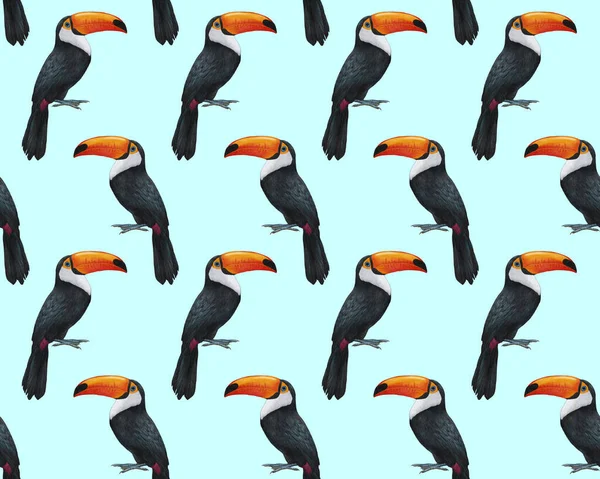 Birds Pattern Hand Drawn Colorful Background — Stock fotografie