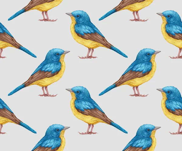 Birds Pattern Hand Drawn Colorful Background — 图库照片