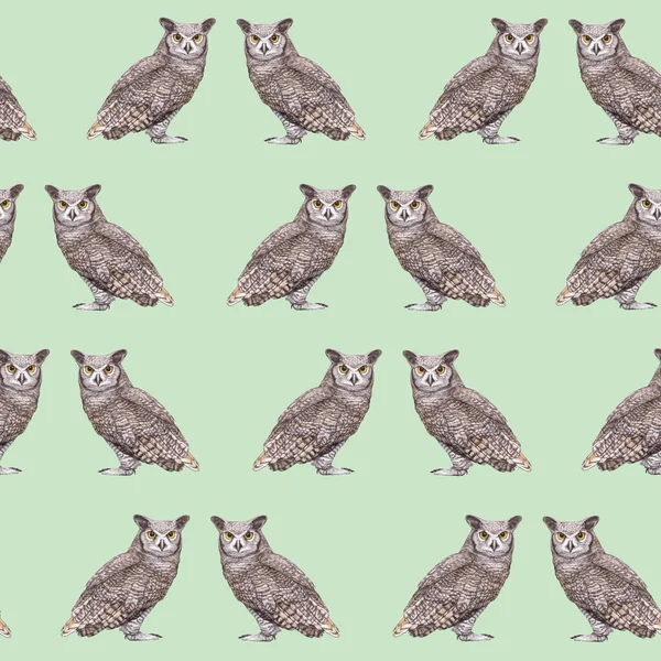 Owls Pattern Hand Drawn Birds Background — Foto Stock