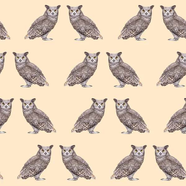 Owls Pattern Hand Drawn Birds Background — Foto Stock