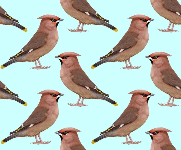 Birds Pattern Hand Drawn Colorful Background — Stock Fotó