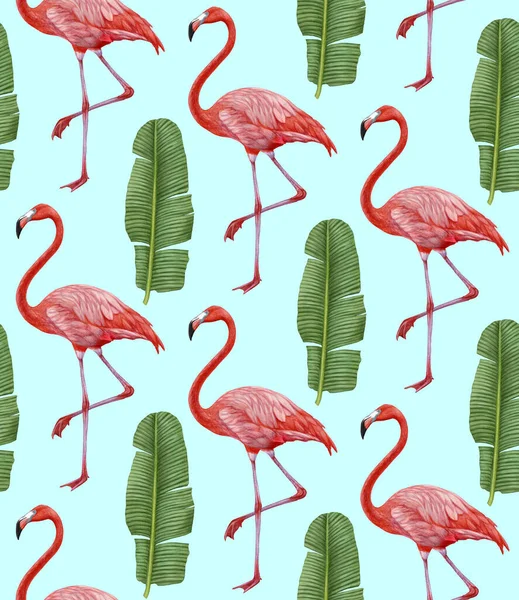 Pink Flamingos Pattern Background — Stock fotografie