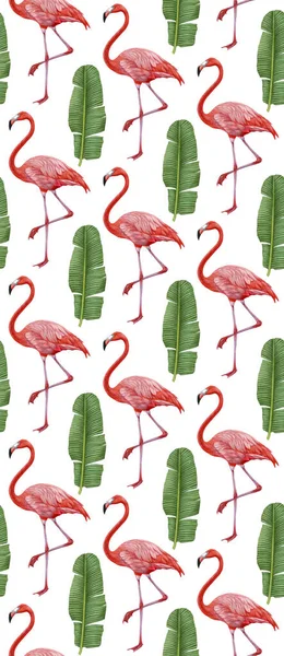 Pink Flamingos Pattern Background — 스톡 사진