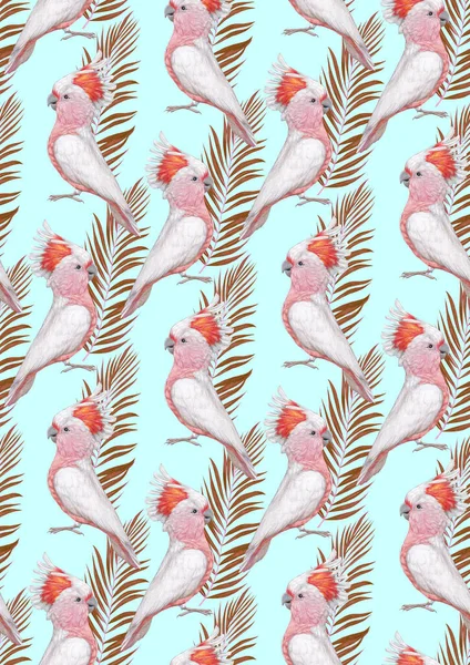 Parrots Pattern Hand Drawn Birds Background — 图库照片