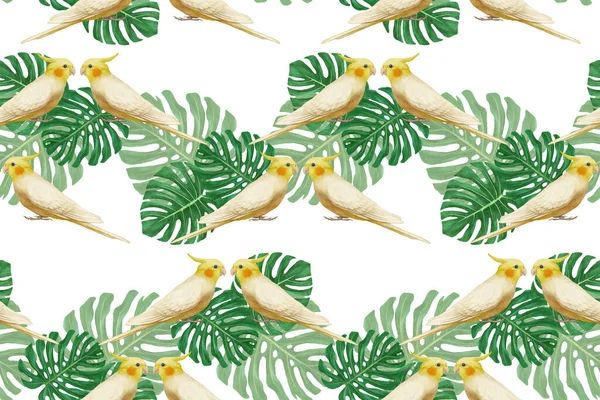 Parrots Pattern Hand Drawn Birds Background — 스톡 사진