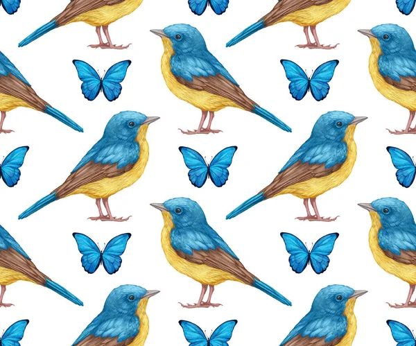 Pattern Hand Drawn Birds — Stock Photo, Image