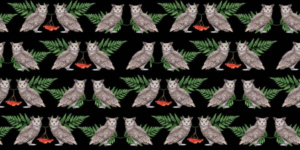 Owls Pattern Hand Drawn Birds Background — стоковое фото